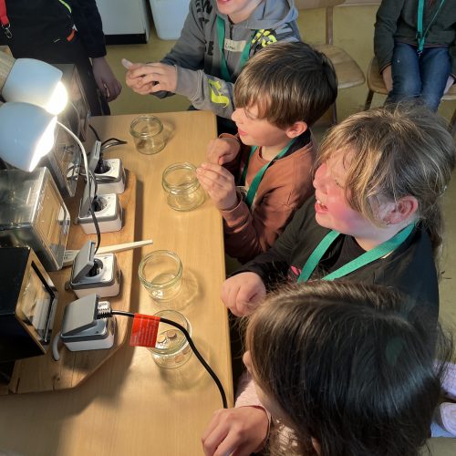 „Energie schlau nutzen“ in Scheden