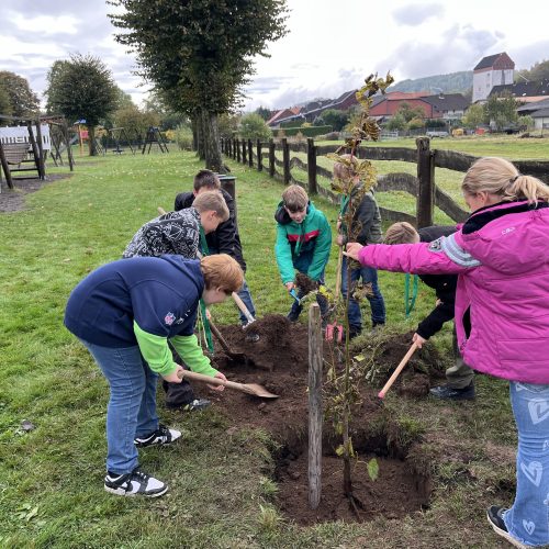 Baumpflanzaktion in Scharzfeld